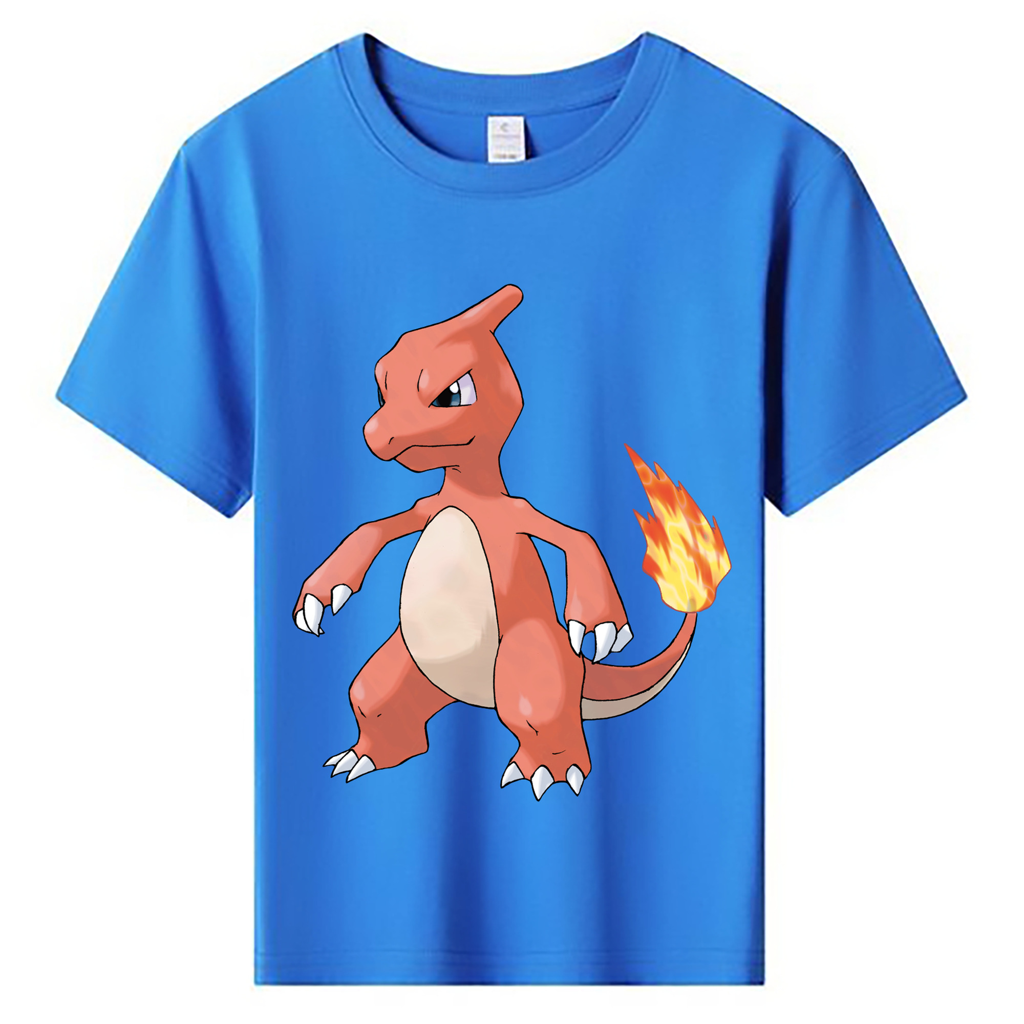 （画像用） ポケットモンスター Pokémon 綿100％キッズTシャツ（フロントプリント）